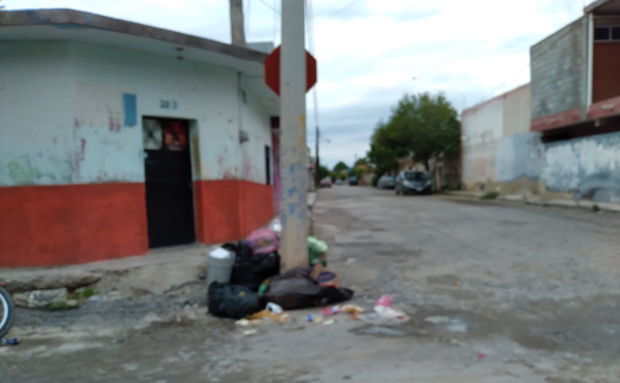 En-un-recorrido-realizado