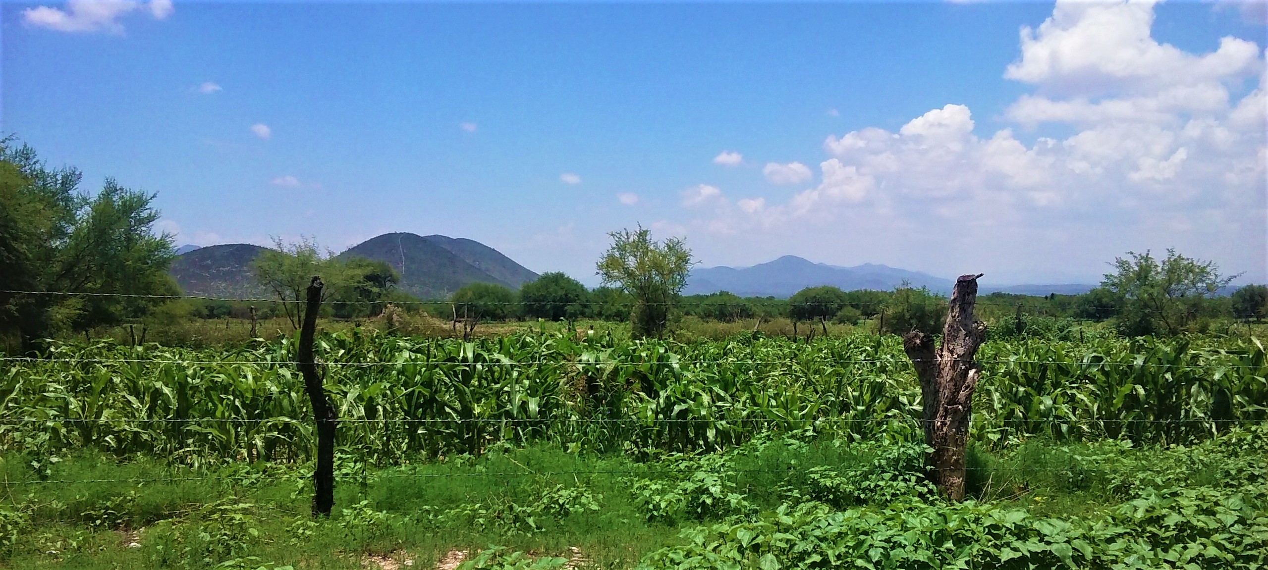 Los-habitantes-de-la-zona-rural-han-senalado-que-se-mantiene-el-optimismo